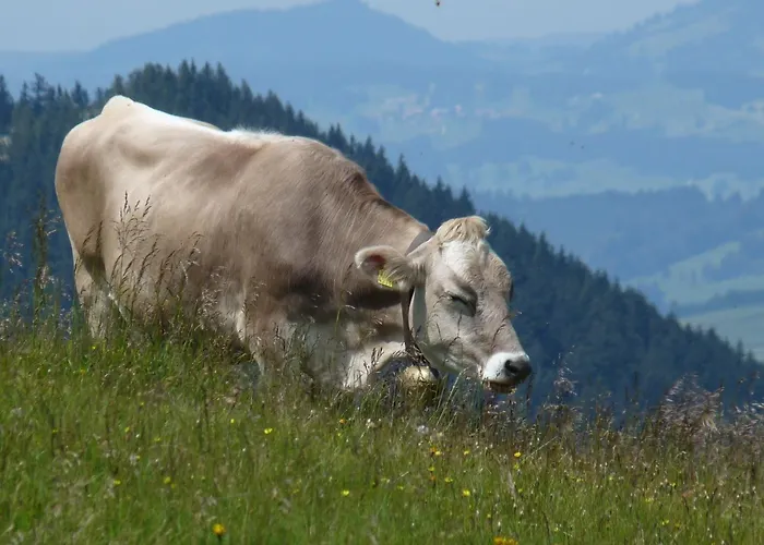 Oyer Hof - Selbst Service Hotell Oy-Mittelberg