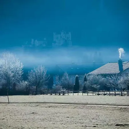 Oyer Hof - Selbst Service 3* Oy-Mittelberg