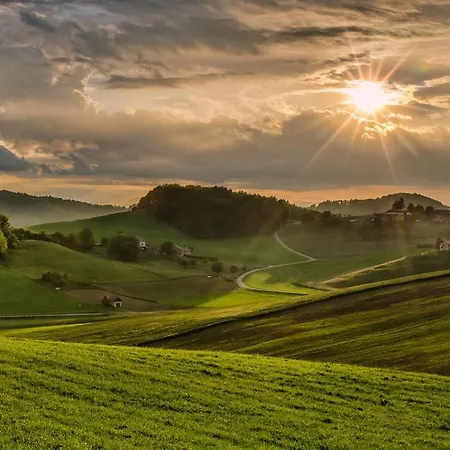 Oyer Hof - Selbst Service 3* Oy-Mittelberg